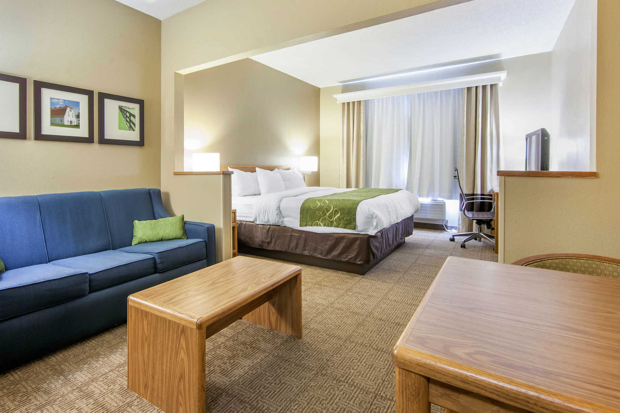 Comfort Suites Keeneland Lexington Room photo
